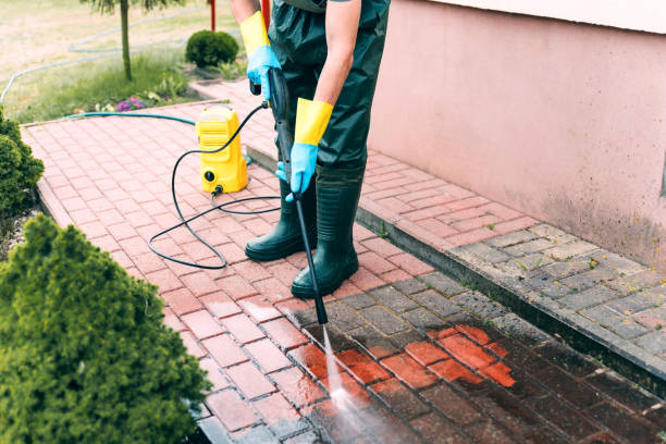 Best Roof Pressure Washing  in Whiskey Creek, FL
